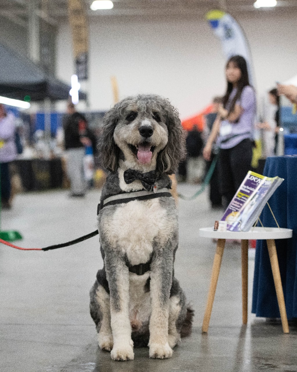 A friendly dog with a bow tie visiting the expo