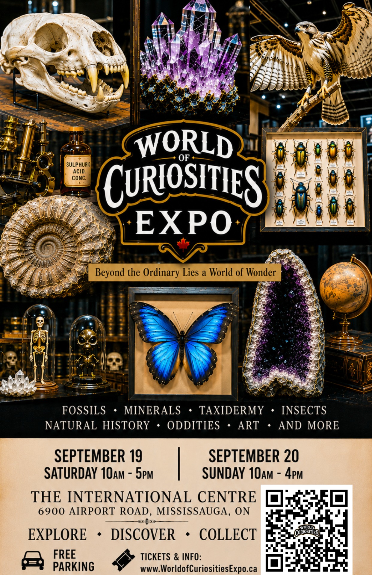 Official World of Curiosities Expo poster